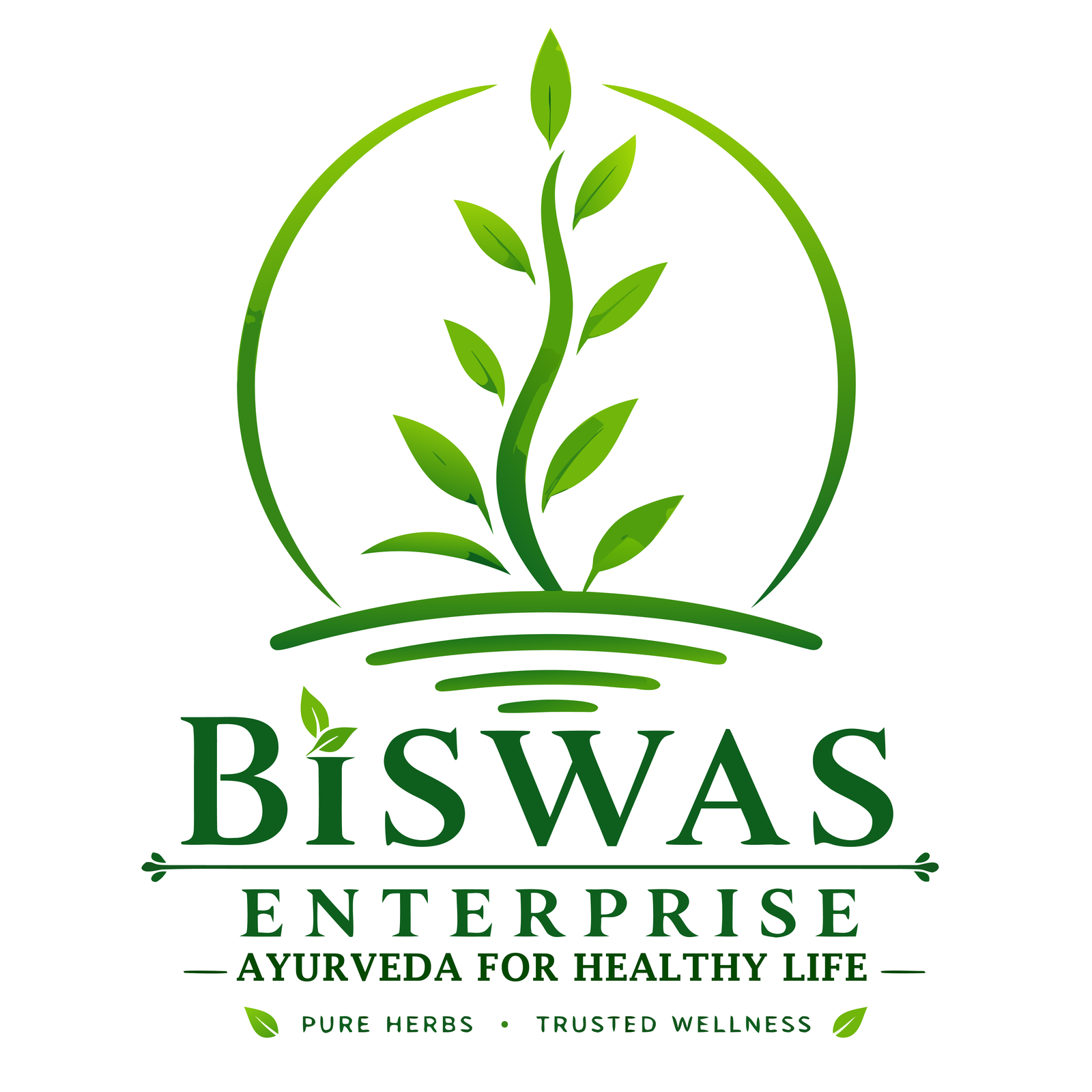 Biswas Enterprise